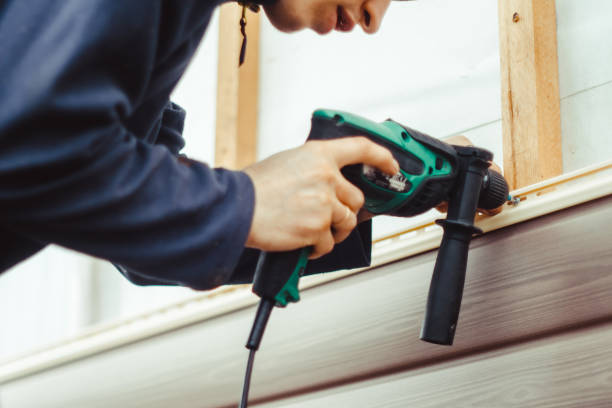 Best Steel Siding Installation  in Lake Linden, MI